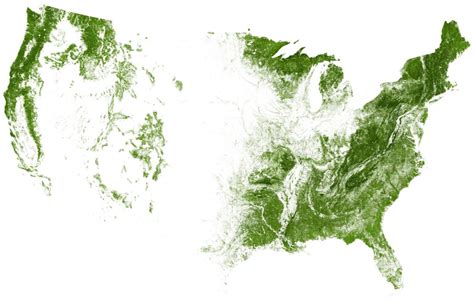 map    trees  forests flowingdata