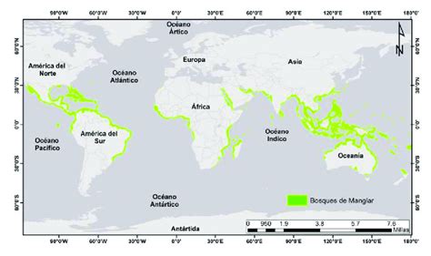 Perdido Residente Ajedrez Mapa Mundial De Bosques Triturado Arbusto