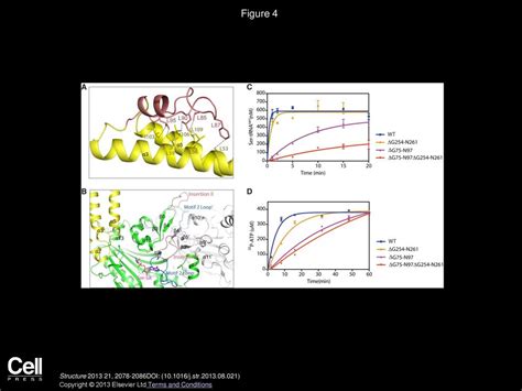 Crystal Structure Of Human Seryl Trna Synthetase And Ser Sa Complex