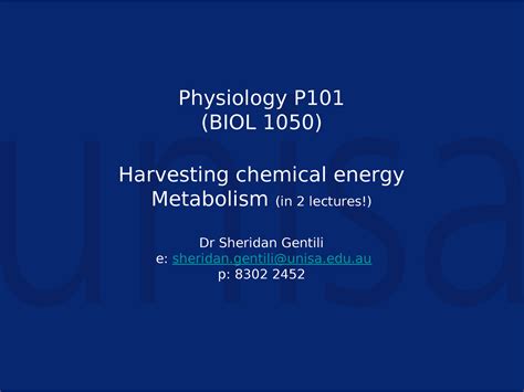 Lecture Slides Lectures 20 Metabolism Lecture 1 Physiology P BIOL