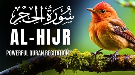 Most beautiful Recitation of Surah Al Hijr سورۃالحجر PURE TRANQUILITY