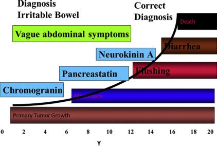 Clinical Presentation and Diagnosis of Neuroendocrine Tumors | Oncohema Key