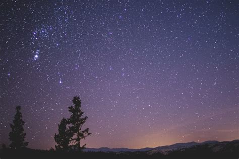 Banco De Imagens Céu Noite árvore Roxa Fenômeno Atmosférico Atmosfera Estrela