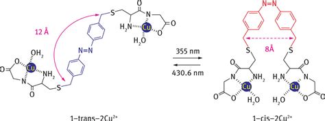 Photo Sensitive Complexes Based On Azobenzene