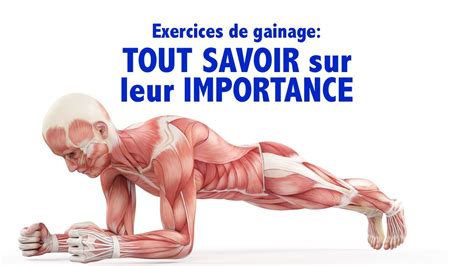 Exercices De Gainage Tout Ce Que Vous Devriez Savoir Sur Leur