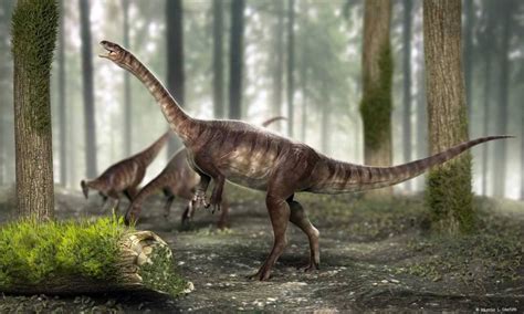 Dinossauro de pescoço longo mais antigo do mundo é descoberto no Brasil