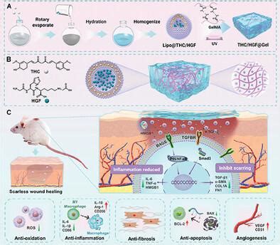 A Multifunctional Nanocomposite Hydrogel Delivery System Based On Dual