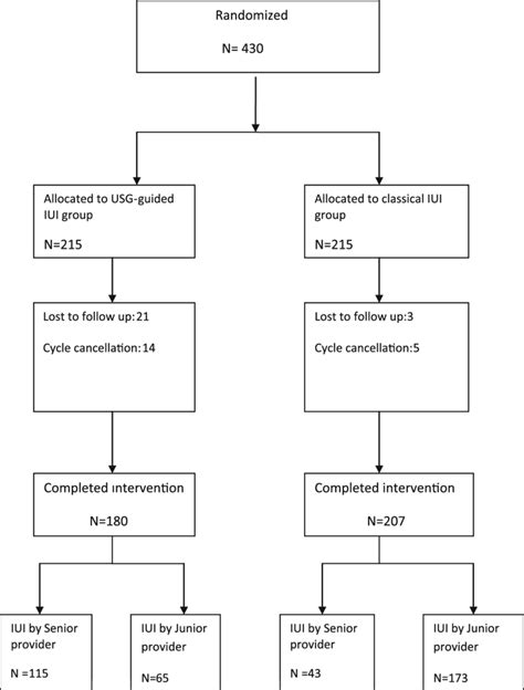 Triage Process Flow Chart