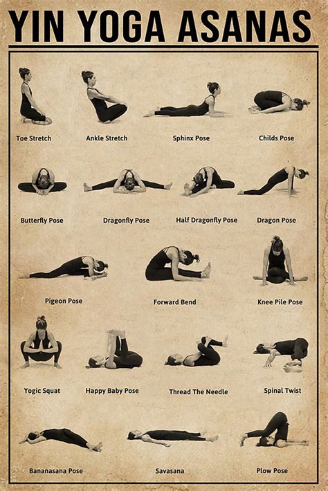 Yin Yoga Asanas Poster Yoga Poster Yoga Poses Poster Etsy