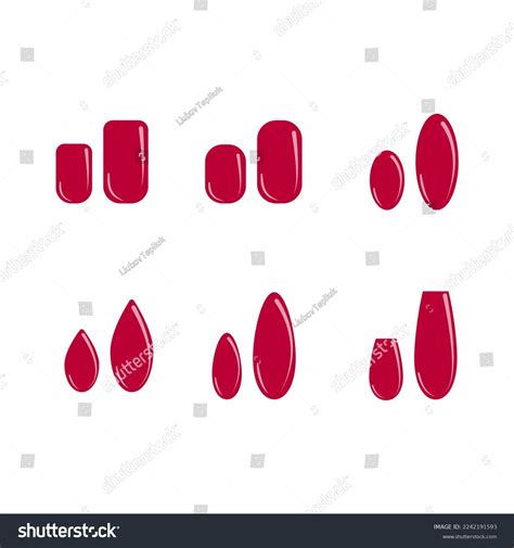 Set Different Types Fingernail Shapes Isolated Stock Vector (Royalty ...