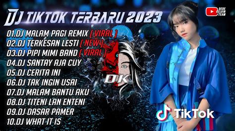 DJ TIKTOK TERBARU 2023 DJ MALAM PAGI HILANG KADANG KU TAK TENANG