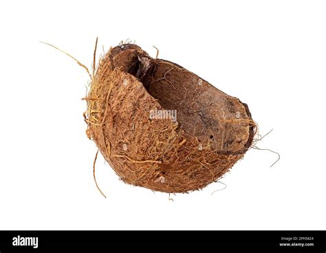 Brown Dry Coconut Shell Half Isolated On White Background Stock Photo