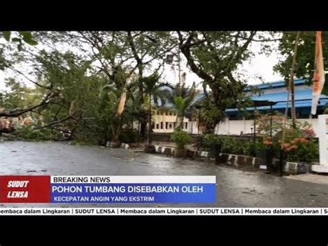 Hujan Deras Tumbangkan Pohon Besar Di Depan Gerbang ULM Banjarmasin