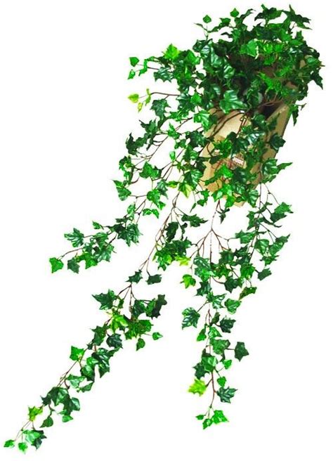 Artificial Woodland Ivy Plant Ivy Plants Plants Artificial Plants