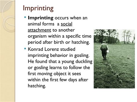 Kinds of Animal Behavior (Learned Behavior).pptx