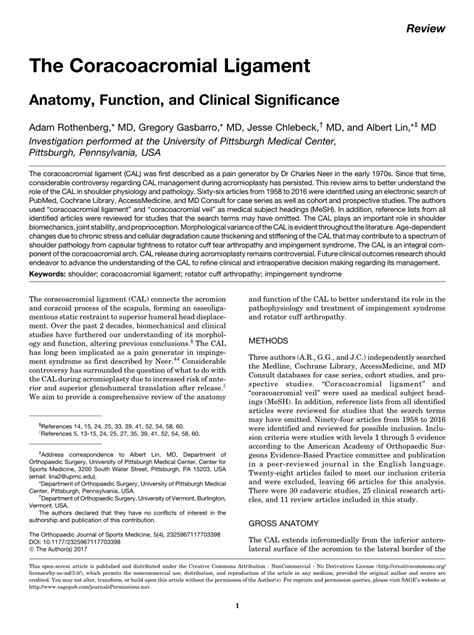 (PDF) The Coracoacromial Ligament: Anatomy, Function, and Clinical Significance