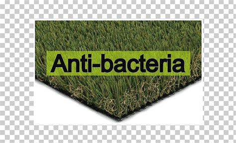 Artificial Turf Lawn Meadow Synthetic Fiber Adalékanyag Png Clipart Anti Bacteria Artificial