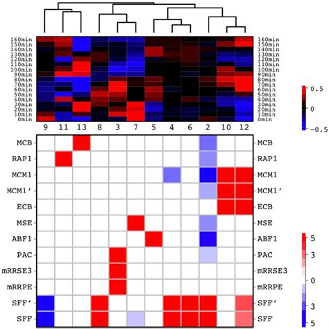 RC Diagram Of The Cell Cycle Data By Cho Et Al Using Motifs As