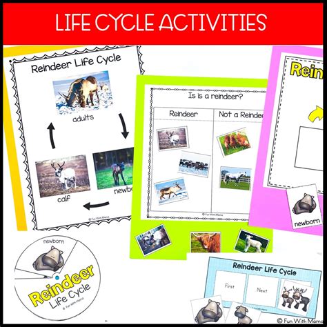 Reindeer Activity Packet - Life Cycle + Caribou - Fun with Mama Shop