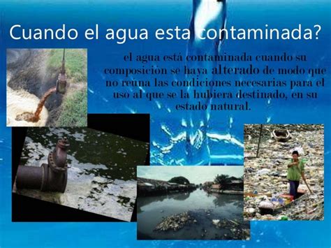 Contaminacion Del Agua