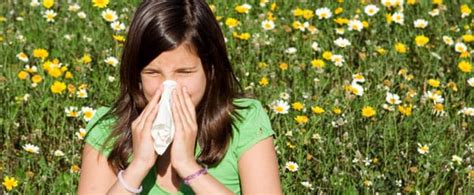 Hay Fever Allergic Rhinitis And Conjunctivitis Dr Nick Makwana