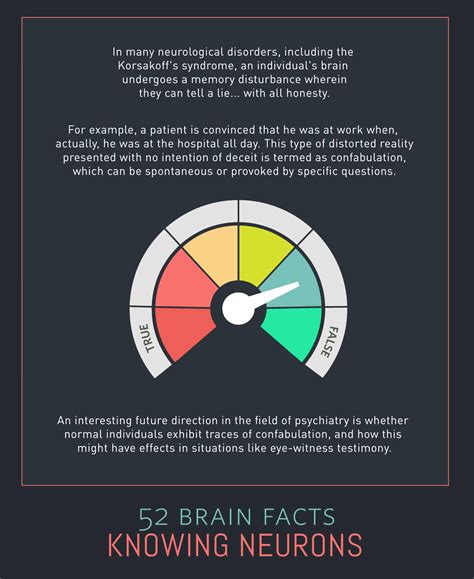 brain facts knowing neurons