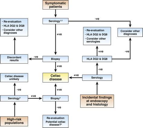 Advances In Diagnosis And Management Of Celiac Disease Gastroenterology