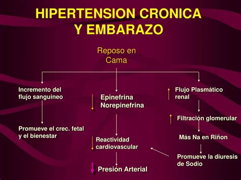 Ppt Hipertensión Arterial Crónica Y Embarazo Powerpoint Presentation Id6140596