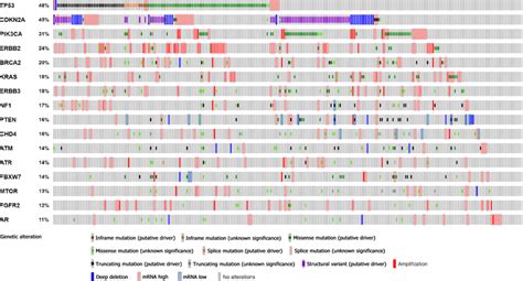 Distribution Of The Top Somatic Mutations In The Cbioportal Database