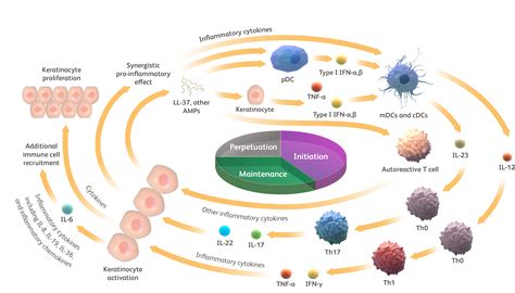 Mediation of selected cytokine signaling in psoriasis and associated ...