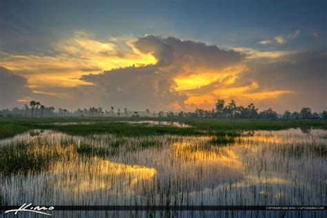 Reflection Over Marsh Pine Glades Natural Area Jupiter Florida Hdr Photography By Captain Kimo