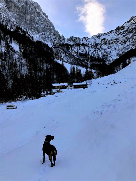 Urlaub Mit Hund In Der Region St Johann In Tirol Outdooractive