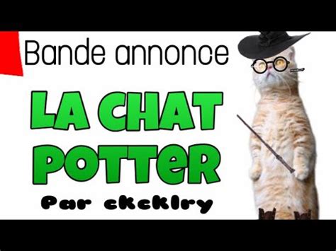 Bande Annonce Le Chat Potter Humour YouTube