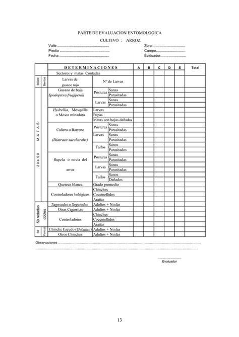 Evaluacion De Plagas Arroz Legum PDF