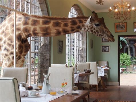 Back Again To Giraffe Manor In Nairobi Kenya Inviato Travel