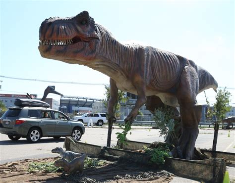 Gillette Stadium To Have More Than 70 ‘roaring And Moving Dinosaurs As