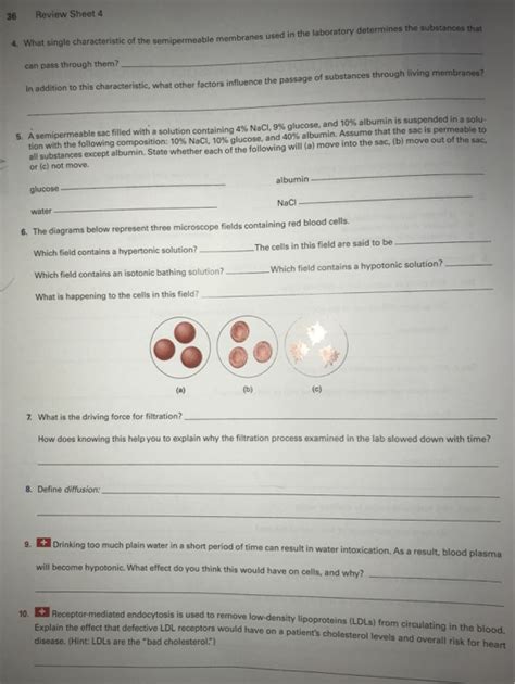 Solved Exercise Review Sheet Cell Membrane Transport Chegg