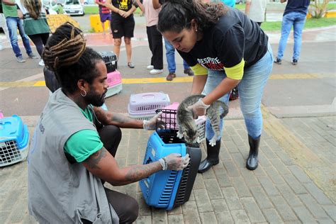 NO ABRIL LARANJA SALVADOR ALERTA PARA CONSCIENTIZAÇÃO E COMBATE AOS