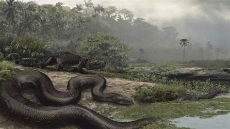 Fossil of largest snake found in Colombia - UPI.com