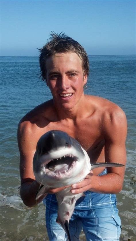 Pictures Of Baby Great White Sharks