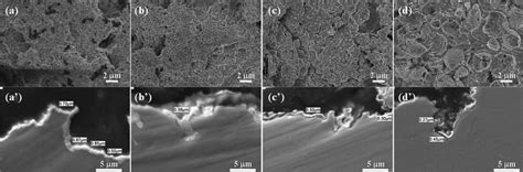 Surface A D And Cross Section A D Morphologies Of The IrO 2 Ta 2