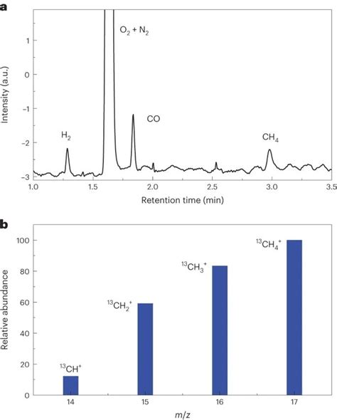 Nature Catalysis Co