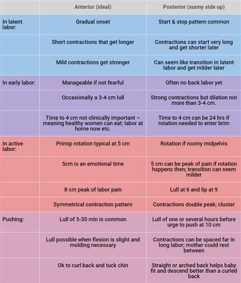 Labor Contractions Chart - Ponasa