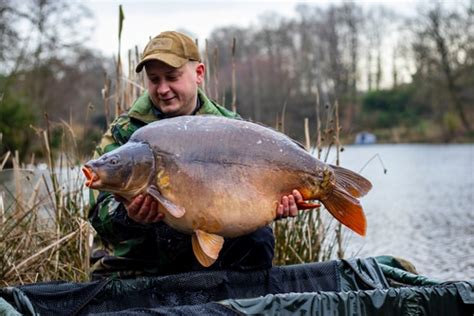 Carp Size Comparison: Just How Big Do These Fish Get? - A-Z Animals