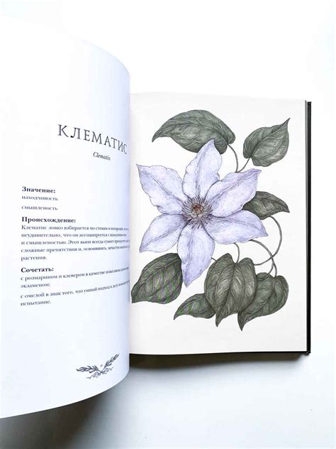 Флориография. Иллюстрированное руководство по викторианскому языку ...