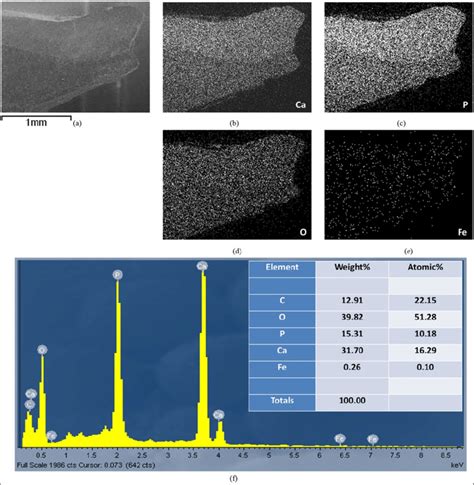 Energy Dispersive X Ray Spectroscopy Analysis Of Region Of Interest