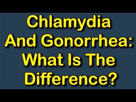 Chlamydia And Gonorrhea What Is The Difference YouTube