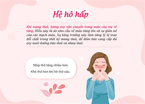 CƠ THỂ MẸ THAY ĐỔI THẾ NÀO KHI MANG THAI Bệnh Viện Quốc Tế Mỹ AIH