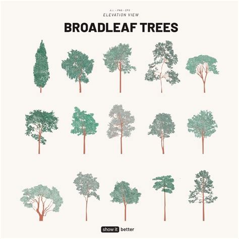 Broadleaf Trees Elevation Pack Brushes