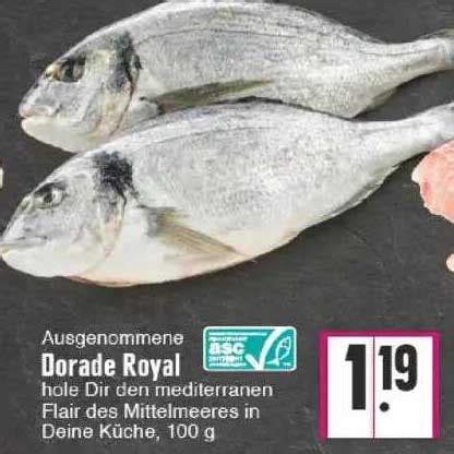 Dorade Royal Angebot Bei EDEKA